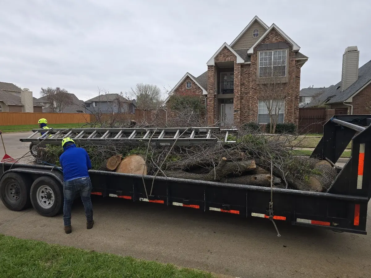 Expert Tree Pest Control with proper safety equipment in Oldtown